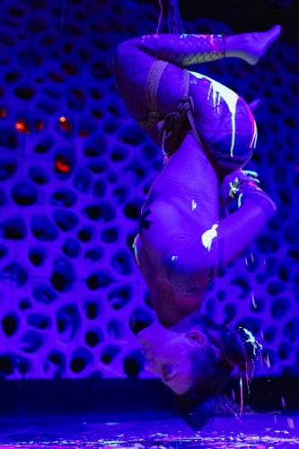 KinkyGalore_08032024_ZOOM_FFM_SensualshootFFM-9757