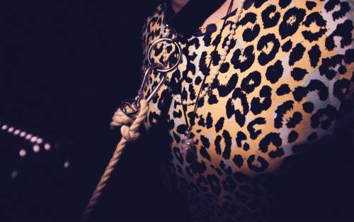 vh_je_kgb_20230701_stuttgart-2150