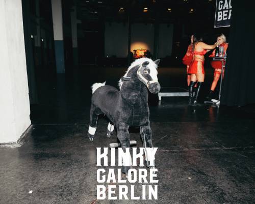 2024_aderholdprojects_fotografie_nude_fetisch_porn_art_kinky_galore_stuttgart0033